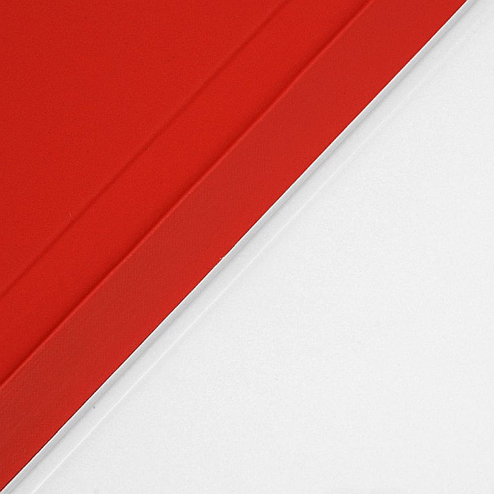 Husa Magnetica cu spate transparent, colturi intarite pentru iPad Pro 11 Inch 2018, 2020 - Rosu [8]