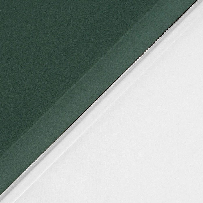 Husa Magnetica cu spate transparent, colturi intarite pentru iPad Pro 11 Inch 2018, 2020 - Dark Green [8]