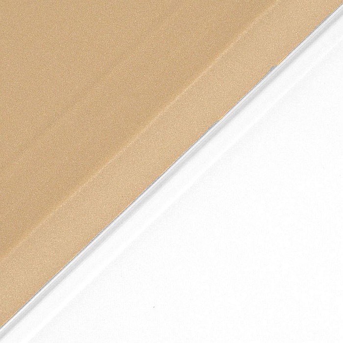 Husa Magnetica cu spate transparent, colturi intarite pentru iPad Air 4 10.9 Inch - Auriu [8]