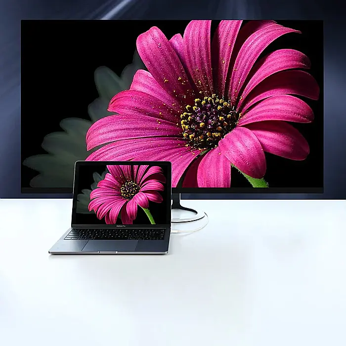 Cablu USB-C la DisplayPort 1.5 metri, 4 k 60Hz, Ugreen MM139 - Negru [4]