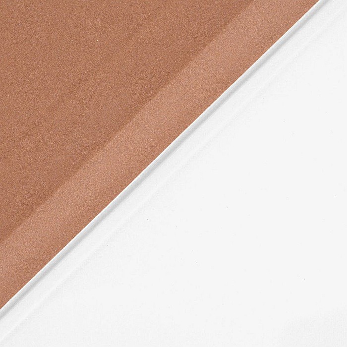 Husa Magnetica cu spate transparent, colturi intarite pentru iPad Pro 11 Inch 2018, 2020 - Rose Gold [9]