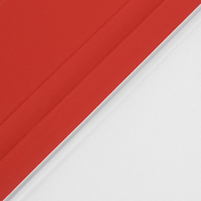 Husa Magnetica cu spate transparent, colturi intarite pentru iPad Mini 6 - Rosu [3]