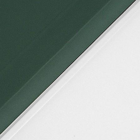 Husa Magnetica cu spate transparent, colturi intarite pentru iPad Pro 11 Inch 2018, 2020 - Dark Green [7]