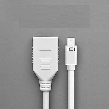 Convertor Mini DisplayPort la DisplayPort 4k@2k, 15cm - Ugreen (10445) - White [2]