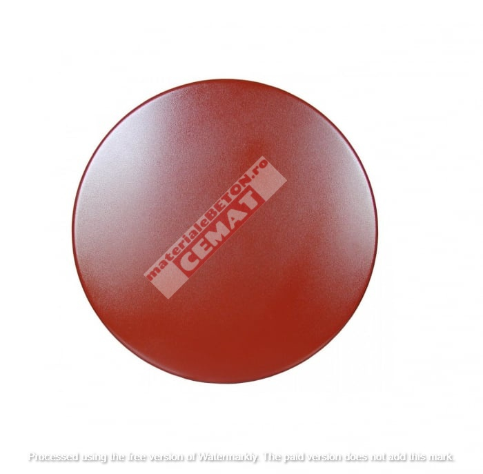 Disc Raimondi 60 [1]