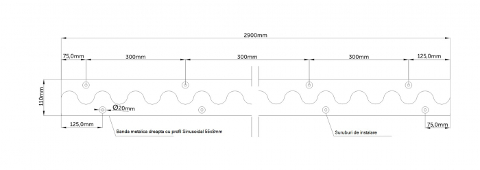 Rost reparatii banda sinus [3]