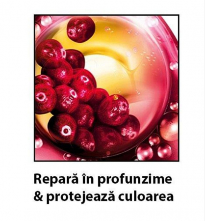 Gliss Șampon Colour Perfector pentru Păr Vopsit 250ml - Protecție și Intensitate a Culorii [1]