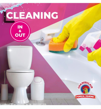 Spuma Activa cu Clor Pentru WC Chanteclair, 625 ml [2]