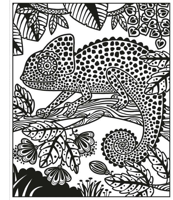 Carte de pictat cu apa "Magic painting book Jungle", Usborne [3]