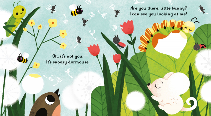 9781474945547 Usborne Are you there little bunny? [2]