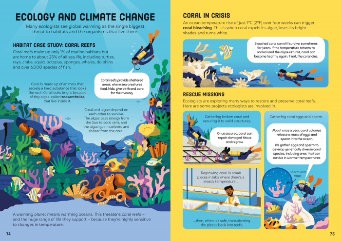 9781805076612 Usborne Biology for Beginners [5]