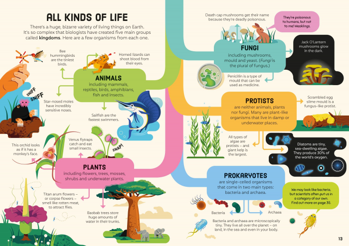9781805076612 Usborne Biology for Beginners [6]