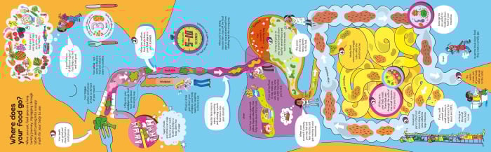 9781836040224 Usborne Big Book of The Body [5]
