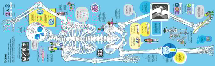 9781836040224 Usborne Big Book of The Body [3]