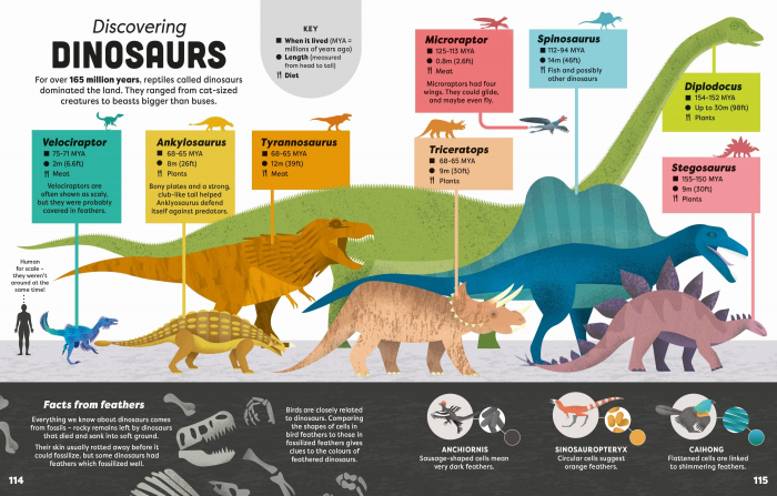 9781805071174 Usborne Big Book of Facts [6]