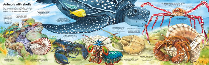 9781836040194  Usborne Big Book of Sea Creatures [3]