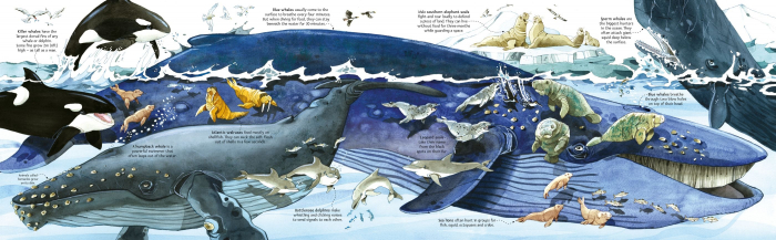 9781836040194  Usborne Big Book of Sea Creatures [6]