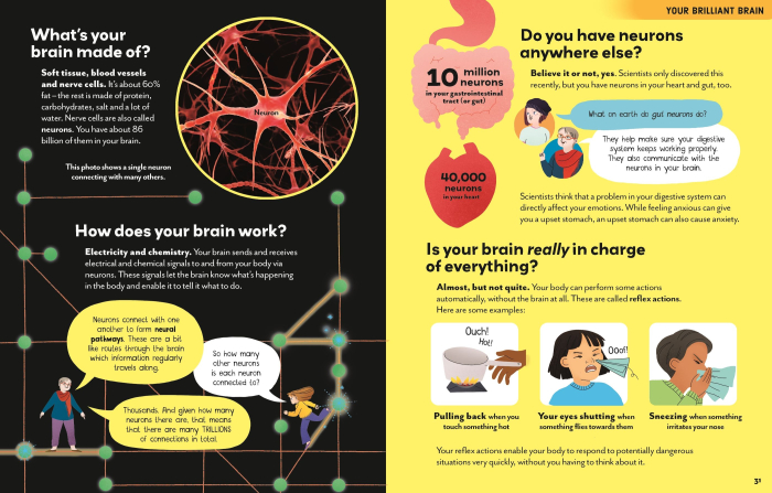 9781474998482 Usborne Big Questions About The Body [4]