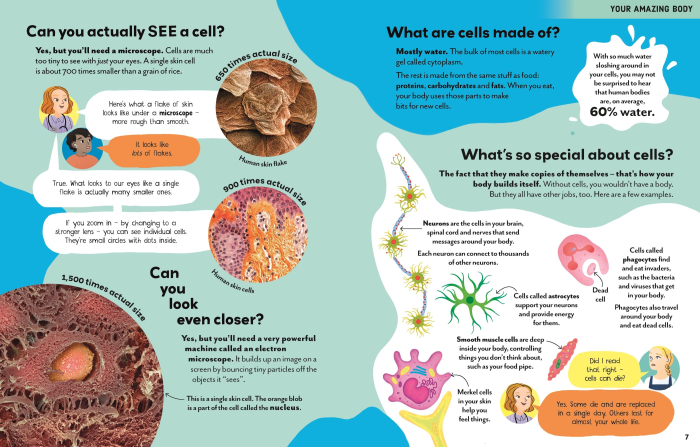 9781474998482 Usborne Big Questions About The Body [2]