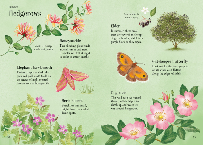 9781836042969 Usborne Lots of Things to Spot throughout the year [3]
