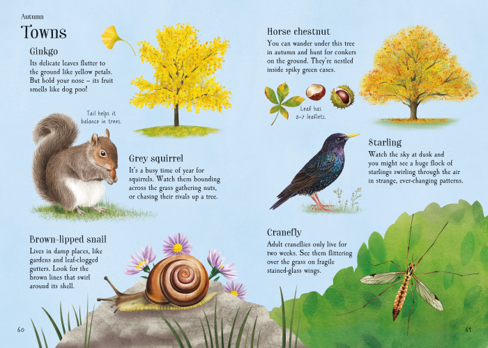 9781836042969 Usborne Lots of Things to Spot throughout the year [4]