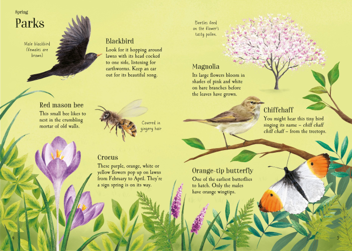 9781836042969 Usborne Lots of Things to Spot throughout the year [2]
