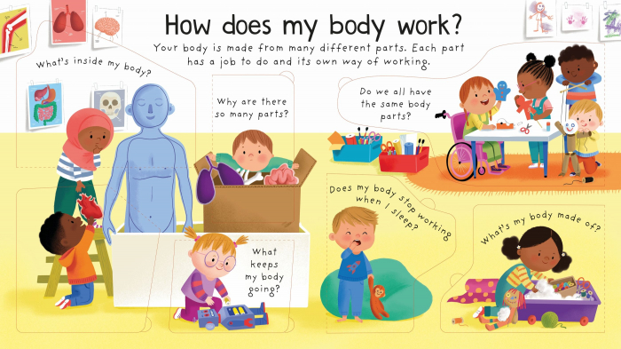9781409598800 Usborne How does my body work? [2]