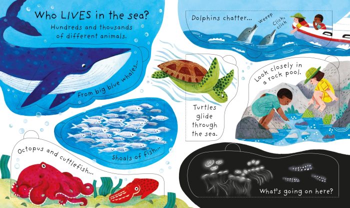 9781835408612 Usborne How deep is the sea? [3]