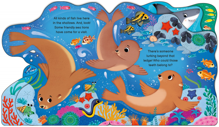 9781805077091 Usborne Who's in the Ocean Today? [4]