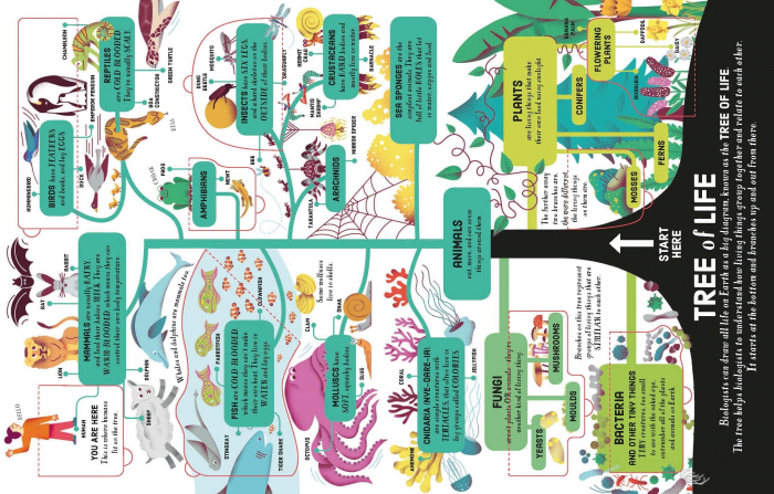 9781474969154 Usborne Lift-the-Flap Biology [2]