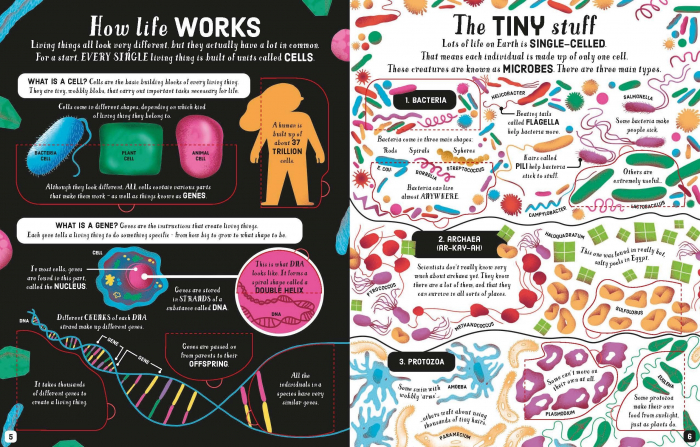 9781474969154 Usborne Lift-the-Flap Biology [4]