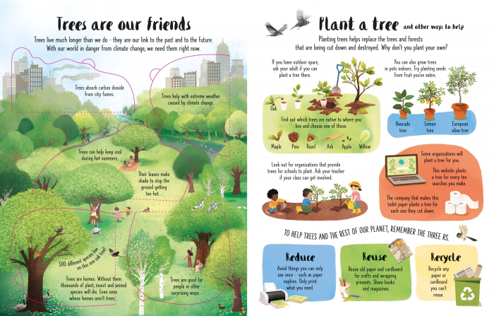 9781474986137 Usborne Lift-the-Flap Trees [4]