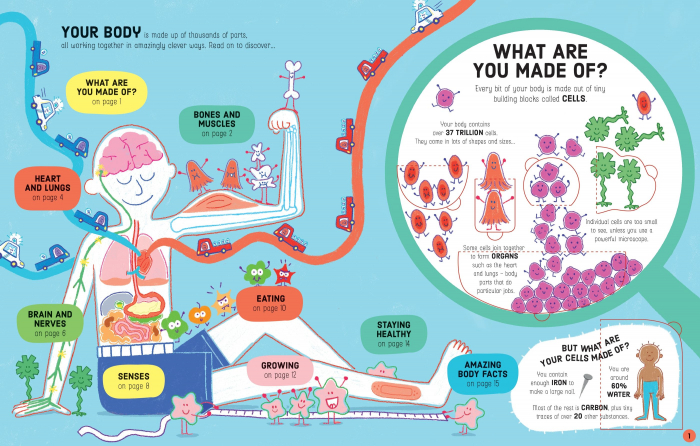 9781474950732 Usborne Lift-the-Flap How Your Body Works [4]