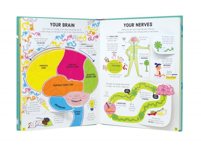 9781474950732 Usborne Lift-the-Flap How Your Body Works [3]