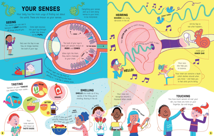 9781474950732 Usborne Lift-the-Flap How Your Body Works [6]