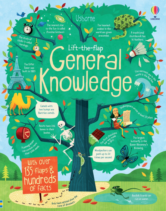9781409563990 Usborne Lift-the-Flap General Knowledge [1]