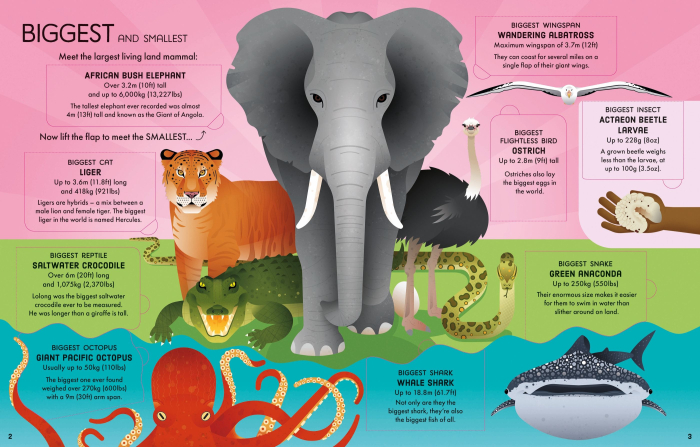 9781805315582 Usborne Lift-the-Flap Longest, Loudest, Brightest - Animal Records [4]