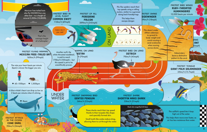 9781805315582 Usborne Lift-the-Flap Longest, Loudest, Brightest - Animal Records [5]