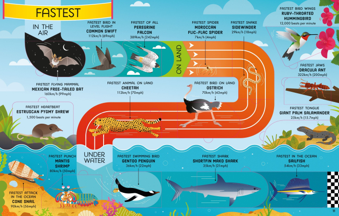 9781805315582 Usborne Lift-the-Flap Longest, Loudest, Brightest - Animal Records [3]
