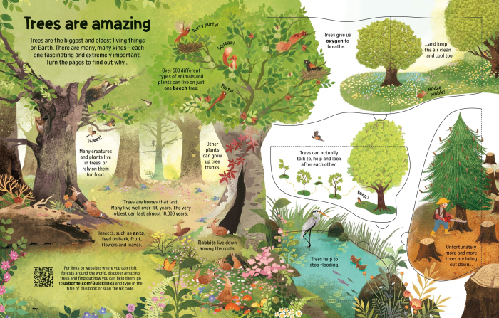 9781836044512 Usborne See Inside Trees [2]
