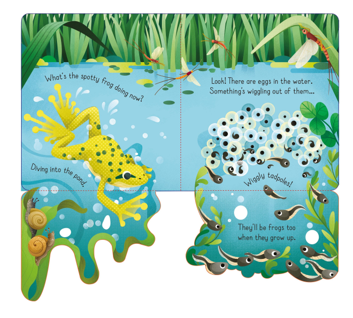 9781474986052 Usborne Little Lift and Look Spotty Frog [4]