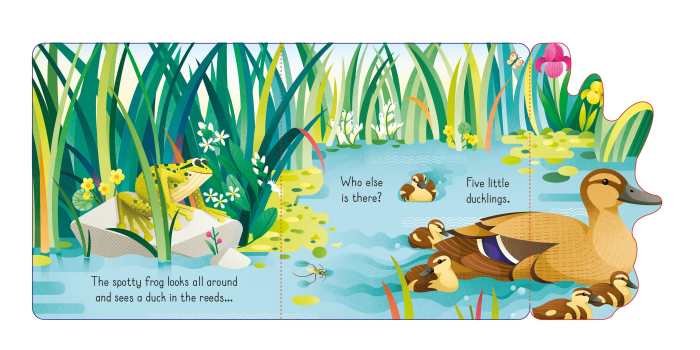 9781474986052 Usborne Little Lift and Look Spotty Frog [3]