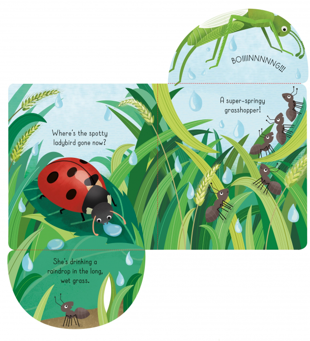 9781474968812 Usborne Little Lift and Look Bugs [4]