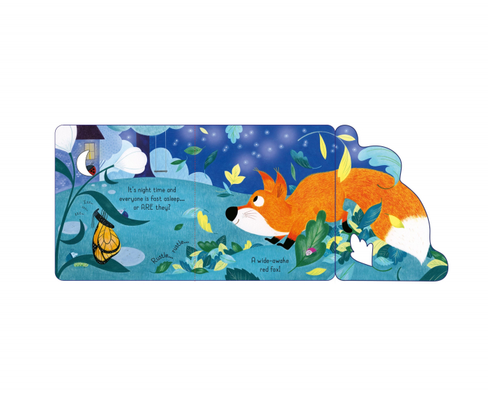 9781801319836 Usborne Little Lift and Look Red Fox [2]