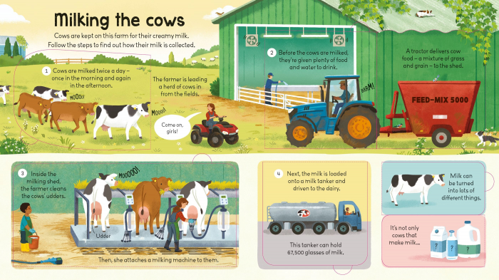 9781805074229 Usborne Look inside the farm [3]