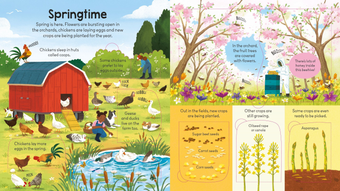 9781805074229 Usborne Look inside the farm [4]