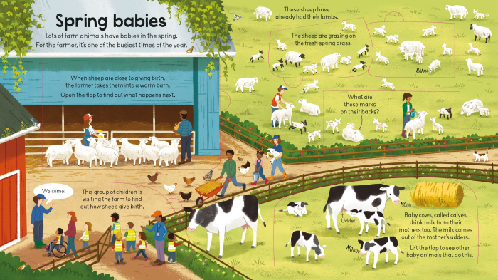 9781805074229 Usborne Look inside the farm [2]