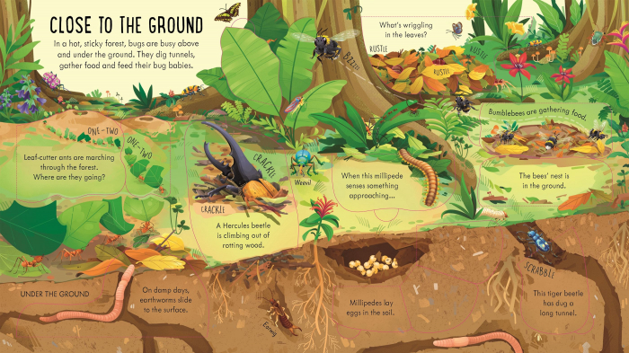 9781805074076 Usborne Look inside Bug World [4]