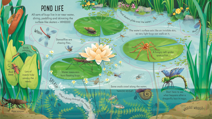 9781805074076 Usborne Look inside Bug World [3]