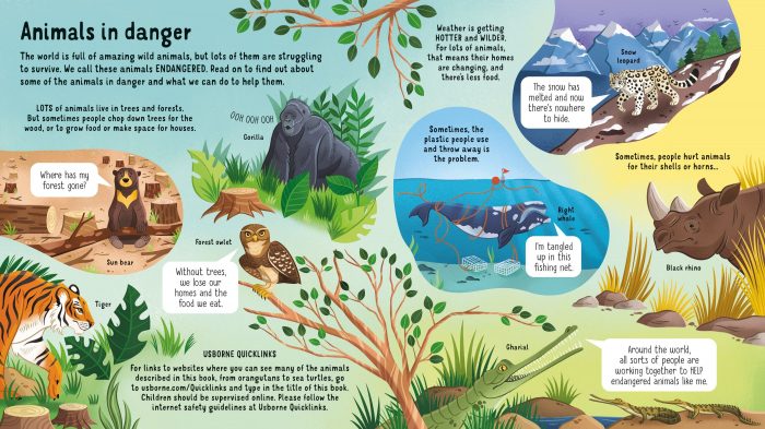 9781474999045 Usborne Look inside Animals in Danger [2]